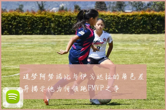 追梦阿努诺比与伊戈达拉的角色差异揭示他为何领跑FMVP之争