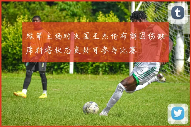 绿军主场对决国王杰伦布朗因伤缺席科塔状态良好可参与比赛